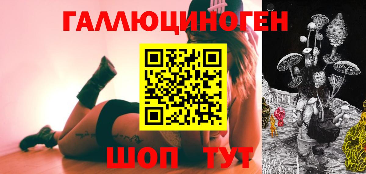 Иваново  Псилоцибиновые грибы Cubensis  Вход с VPN 